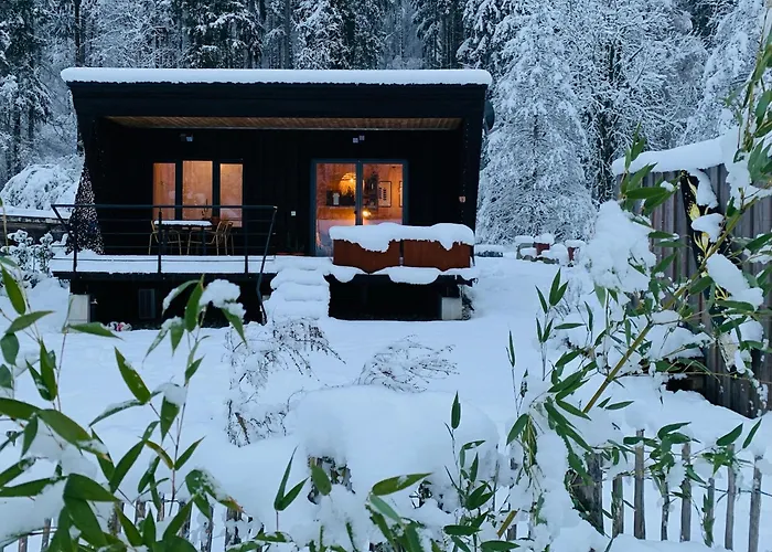 Hjem - Tiny Homes Direkt Am Wald Zwischen Allgaeu & Bodensee